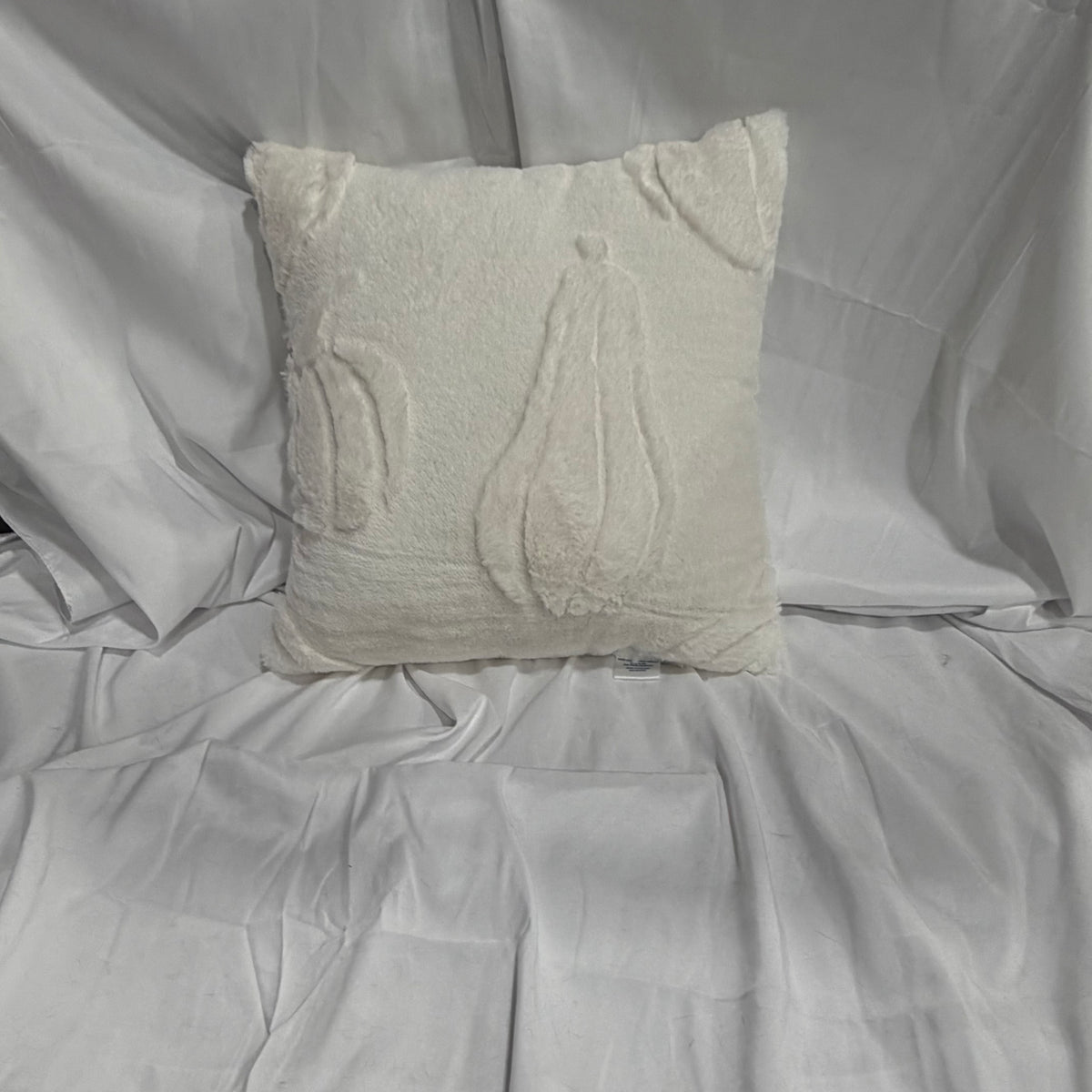 Plush Minky Throw Pillow