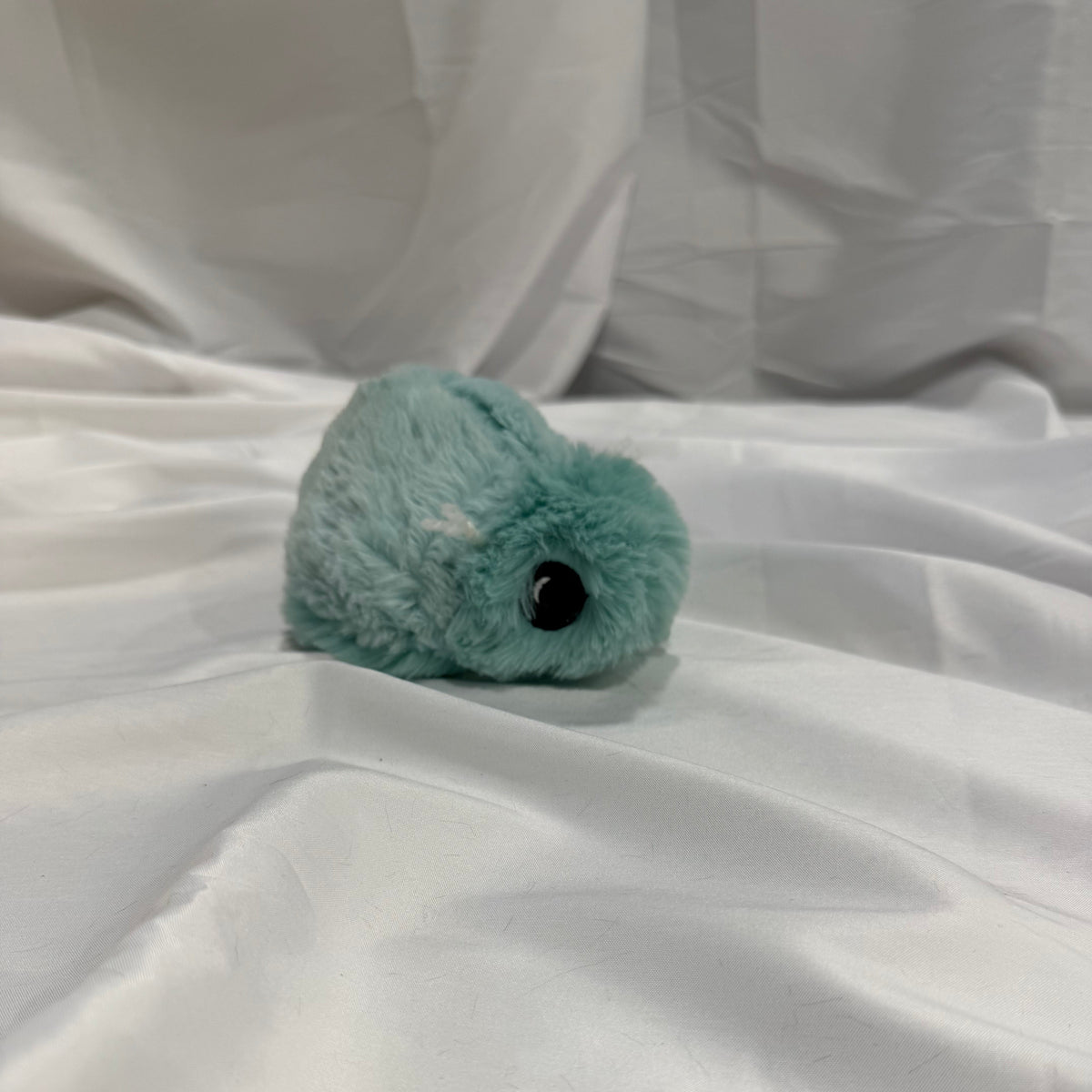 Plush Minky Tiny Ladybug/Beetle