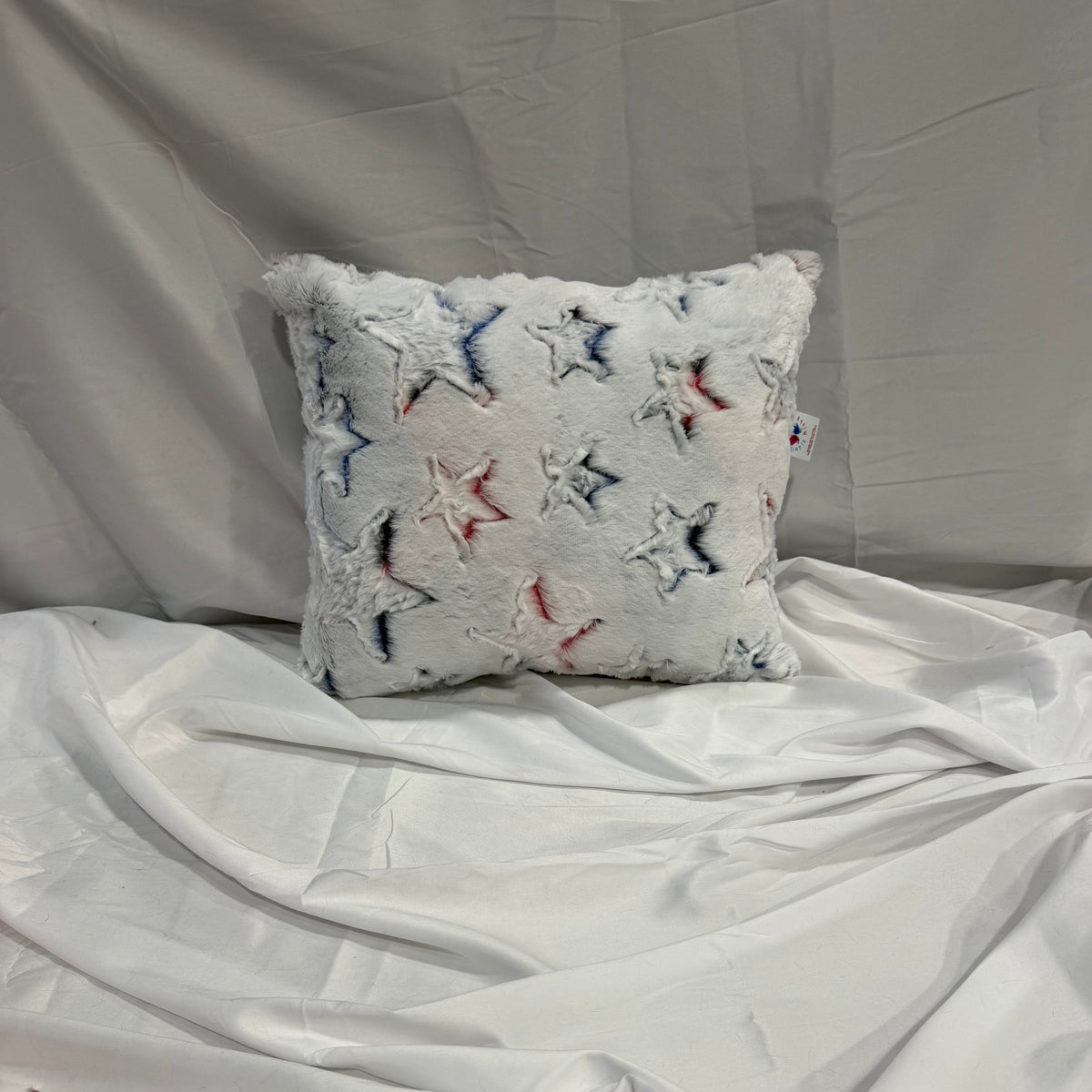 Plush Minky Throw Pillow