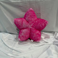 Plush Minky Starfruit