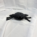 Plush Minky Tiny Spiders