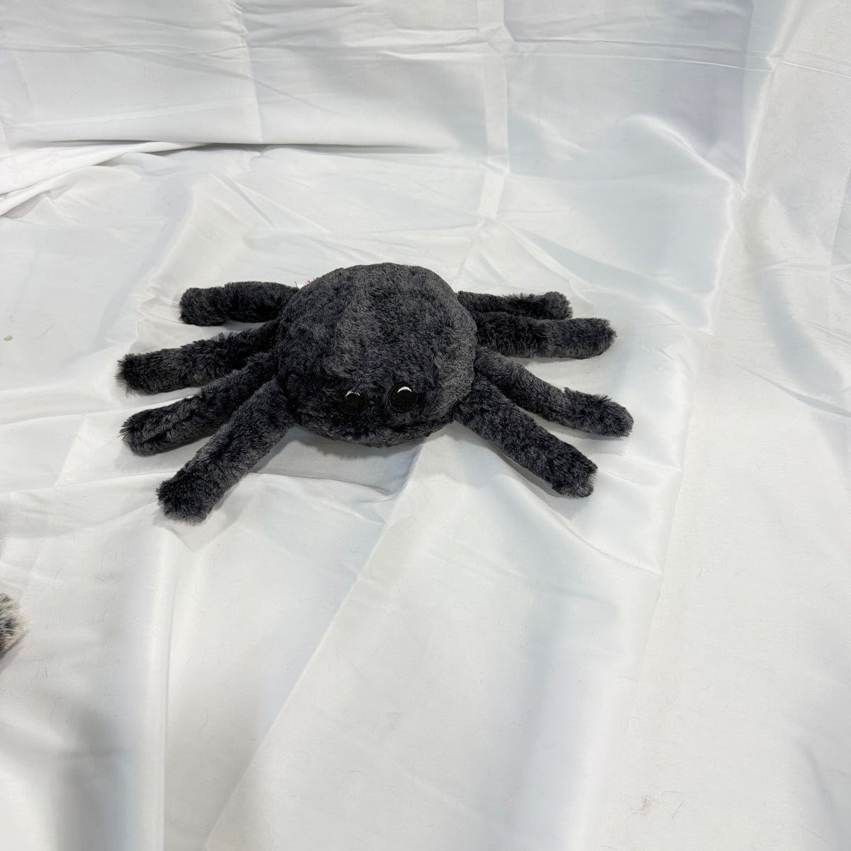 Plush Minky Tiny Spiders